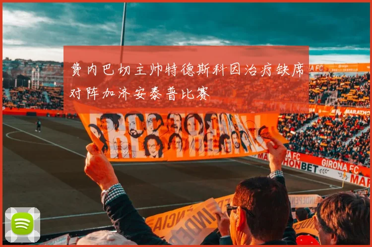 费内巴切主帅特德斯科因治疗缺席对阵加济安泰普比赛