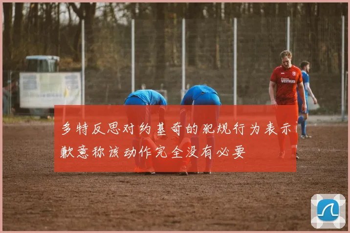 多特反思对约基奇的犯规行为表示歉意称该动作完全没有必要
